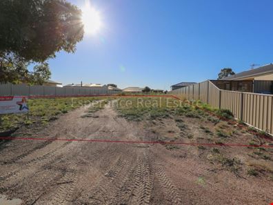 6 Ram Court, Castletown WA 6450