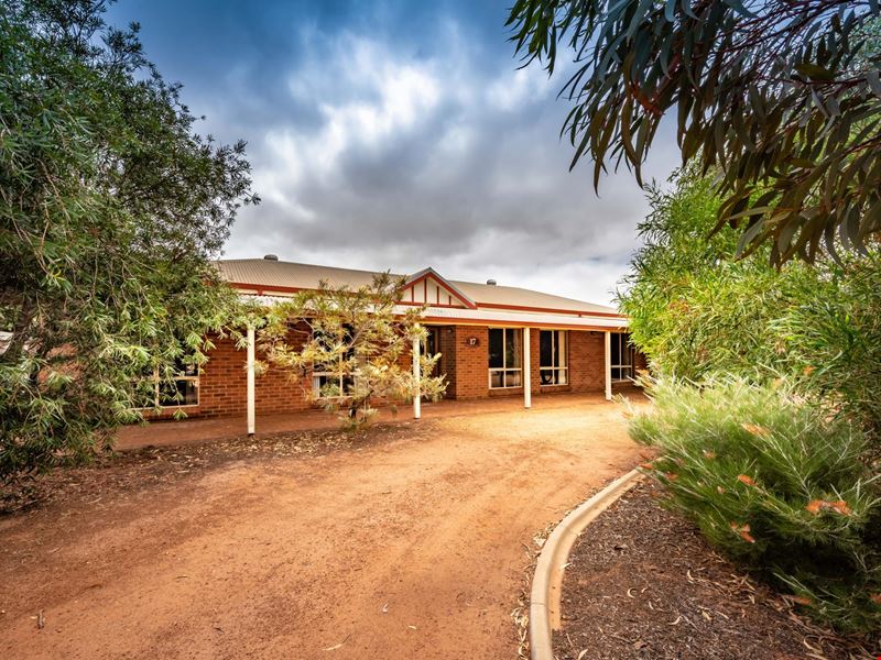17 Brierley Court, Woorree WA 6530