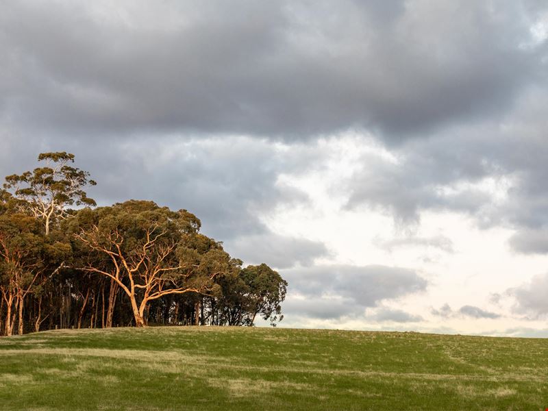603/ McGlew Road, Lower Chittering WA 6084