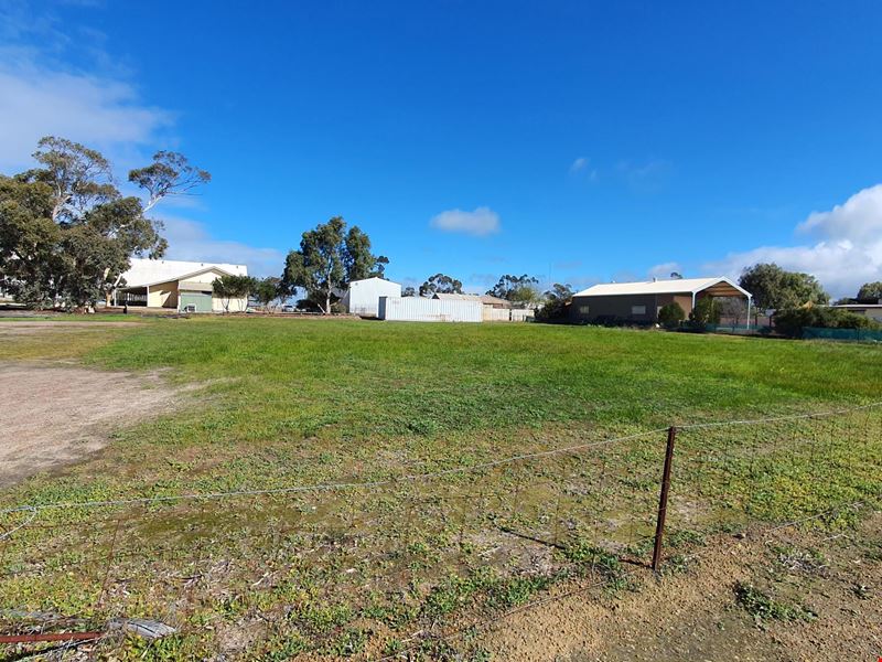 31 Milner Street, Yerecoin WA 6571