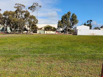 31 Milner Street, Yerecoin WA 6571