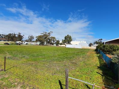 31 Milner Street, Yerecoin WA 6571