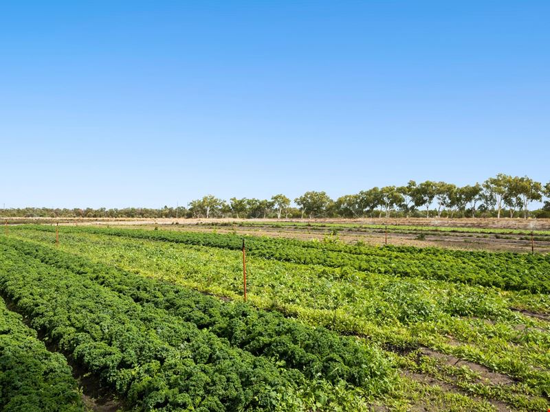 510 Duffy Road, Bambun WA 6503