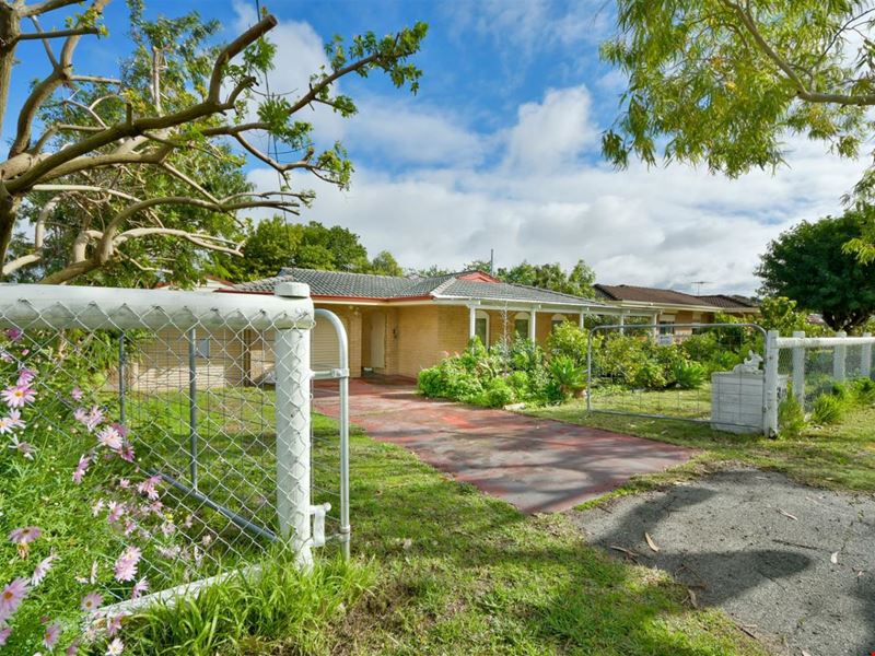 29 Darile Street, Hillman WA 6168