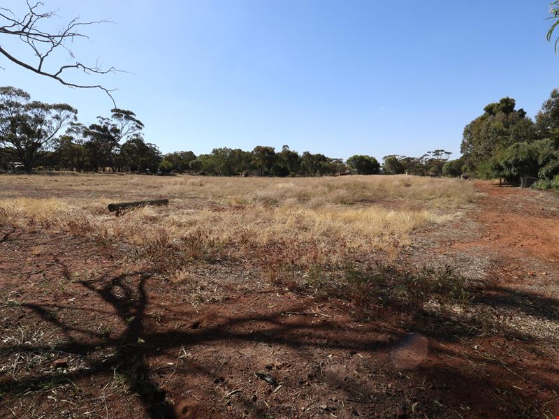 34 Brundell Street, Cuballing WA 6311