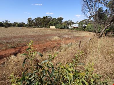 34 Brundell Street, Cuballing WA 6311