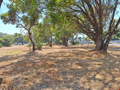 74 & 76 Blackwood Avenue, Augusta WA 6290