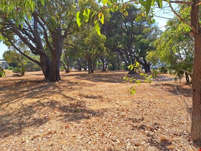 74 & 76 Blackwood Avenue, Augusta WA 6290