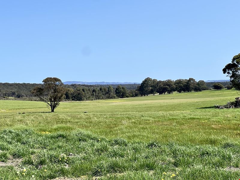 Lot 236 Ashbydacd Terrace, Viveash