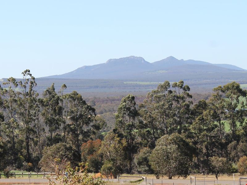 158 Braidwood Road, Mount Barker WA 6324