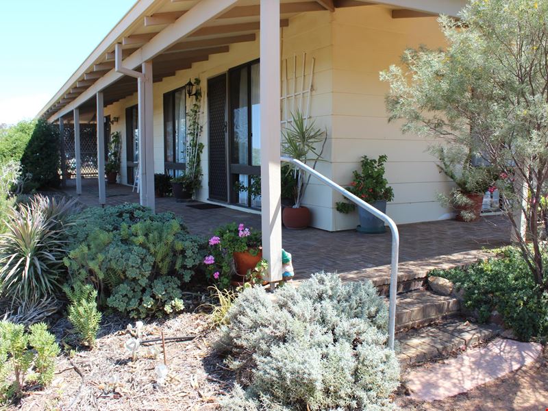 59 Stacy St, Dowerin WA 6461