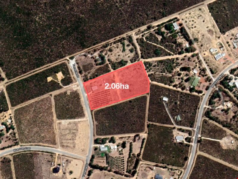 11 Tamarisk Drive, Gabbadah WA 6041