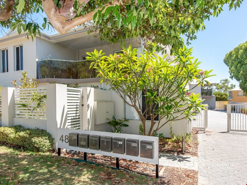 3/48 Halley Street, Innaloo WA 6018