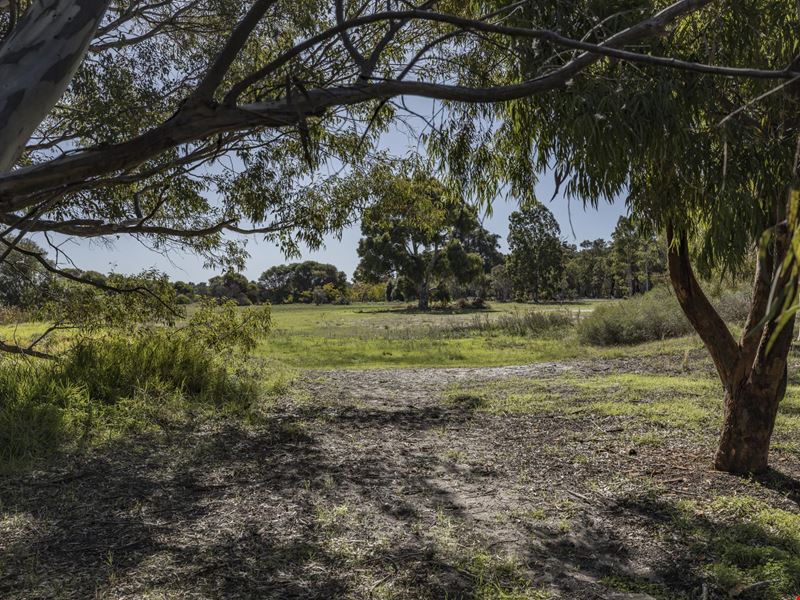 97 Scenic  Drive, Wanneroo WA 6065