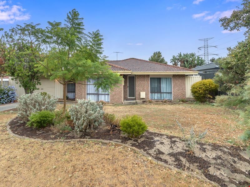 115 Meller Road, Bibra Lake