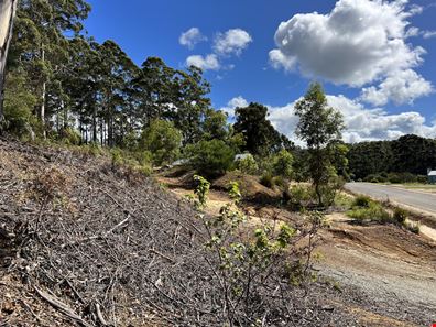 22 Mill Place, Denmark WA 6333