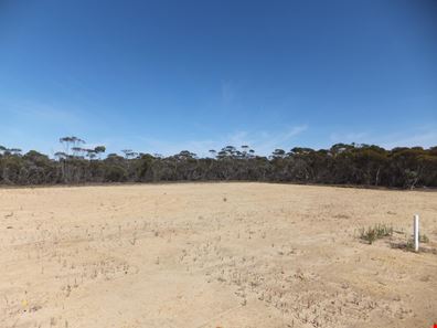 6 Collins Street, Jerramungup WA 6337