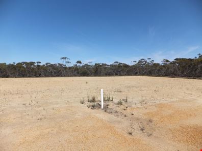 6 Collins Street, Jerramungup WA 6337