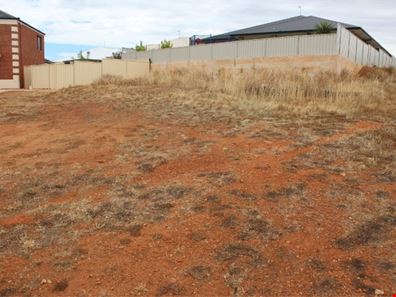 11 Birdie Place, Northam WA 6401