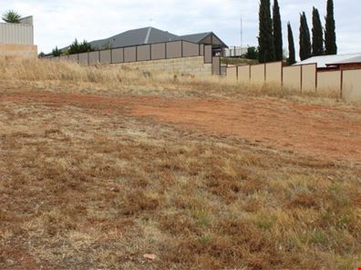 11 Birdie Place, Northam WA 6401