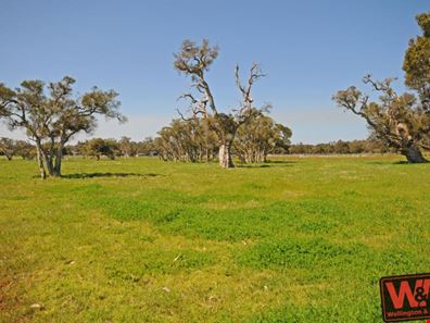 Lot 828 Greenwood Drive, Willyung WA 6330
