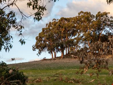 602/ McGlew Road, Lower Chittering WA 6084