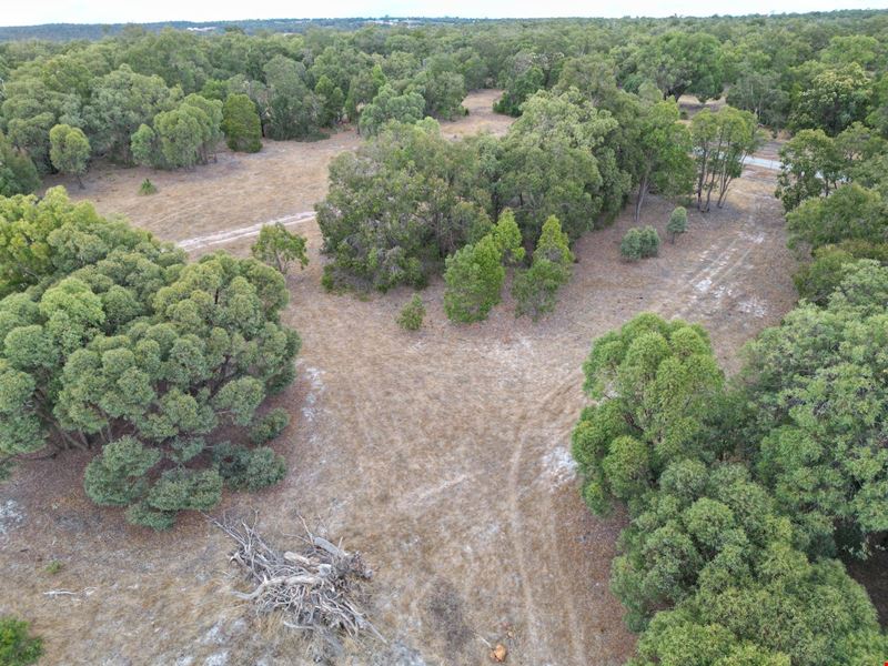 205/ Polinelli Road, Lower Chittering WA 6084
