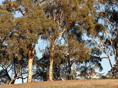 626/ Barzona Way, Lower Chittering WA 6084