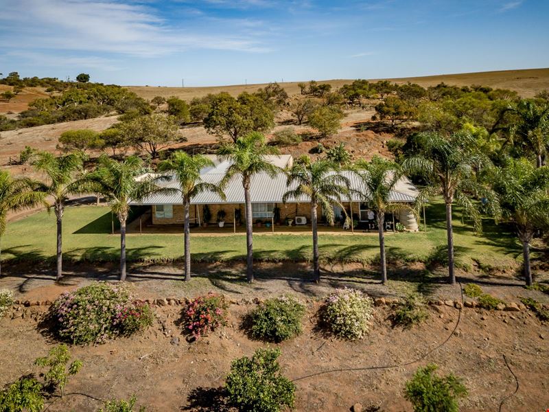 291 Stone Street, Northampton WA 6535