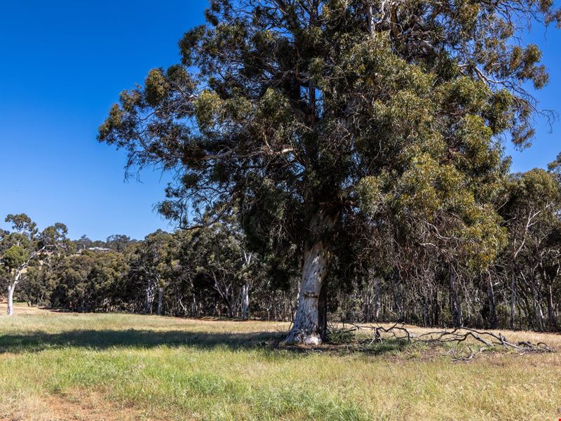 630/ Barzona Way, Lower Chittering WA 6084