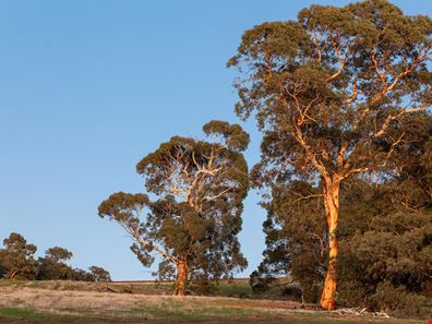 630/ Barzona Way, Lower Chittering WA 6084