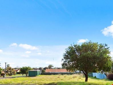 82 Bunning Boulevard, East Bunbury WA 6230