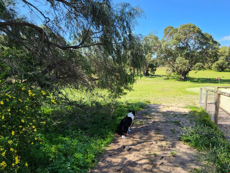 40 Lakeside Terrace, Preston Beach WA 6215