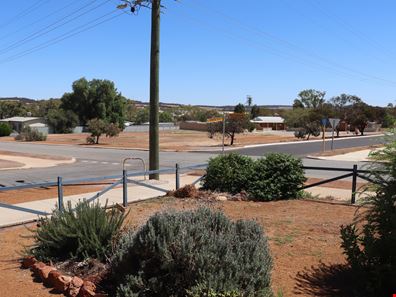 17 Stickland Street, Wongan Hills WA 6603