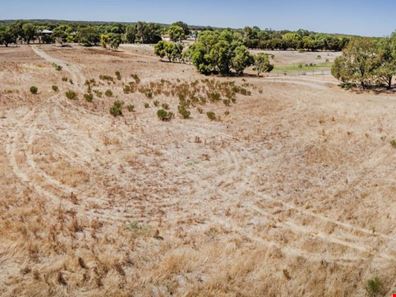 Lot 62 Springfield Drive, Springfield WA 6525