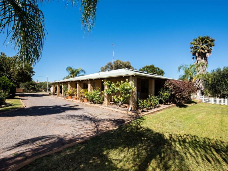 11 Tulloch, Dongara WA 6525