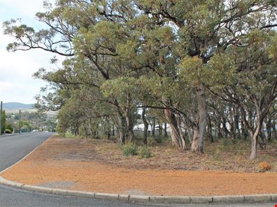 46 Marion Street, Mount Barker WA 6324
