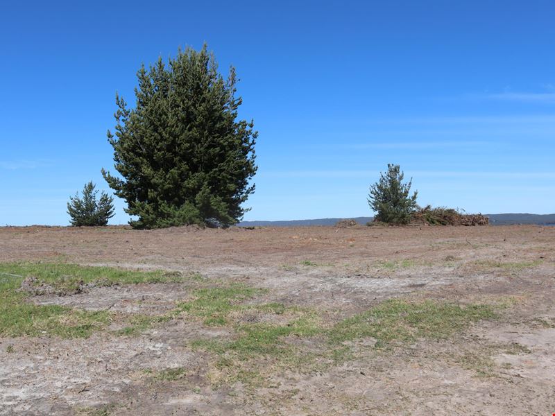 119/ Beaufortia Gardens, Denmark WA 6333