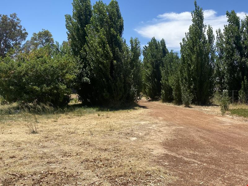 85 Johnston Road, Yarloop WA 6218