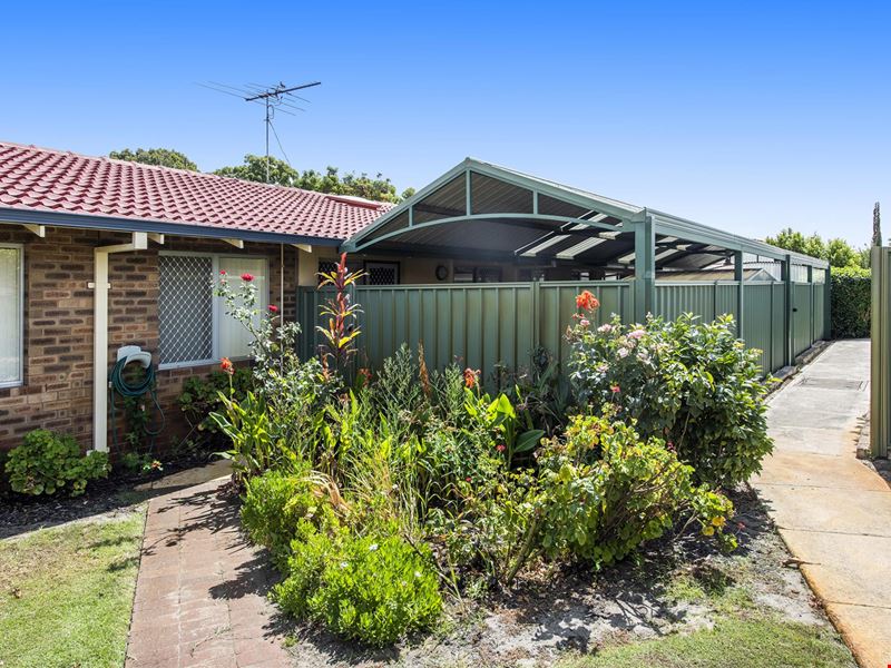 33/10 Houtmans Street, Shelley