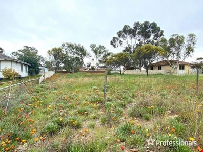 3 Stone Street, Quairading WA 6383