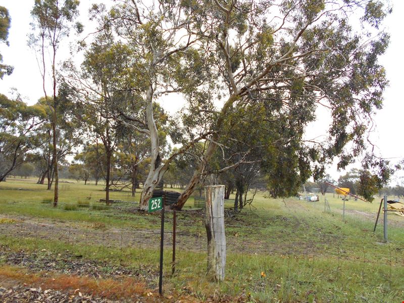 252 Rourke Street, Tambellup WA 6320