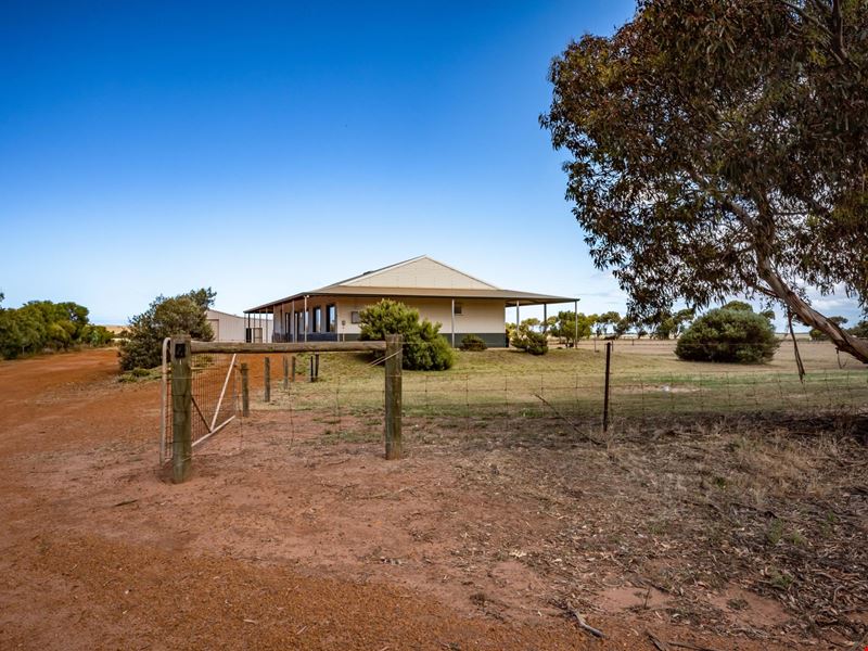 4 Meadow Lane, Walkaway WA 6528