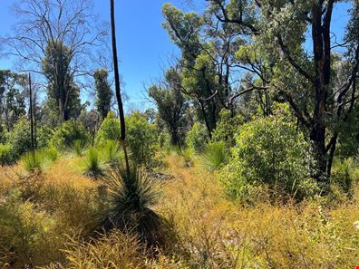 104 Hargraves Crescent, Gidgegannup WA 6083