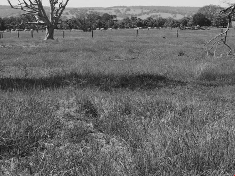 Lot 12 Lawley Road, Yarloop WA 6218