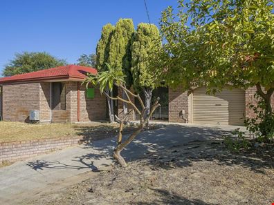 8 Oakleaf Circle, Mirrabooka WA 6061