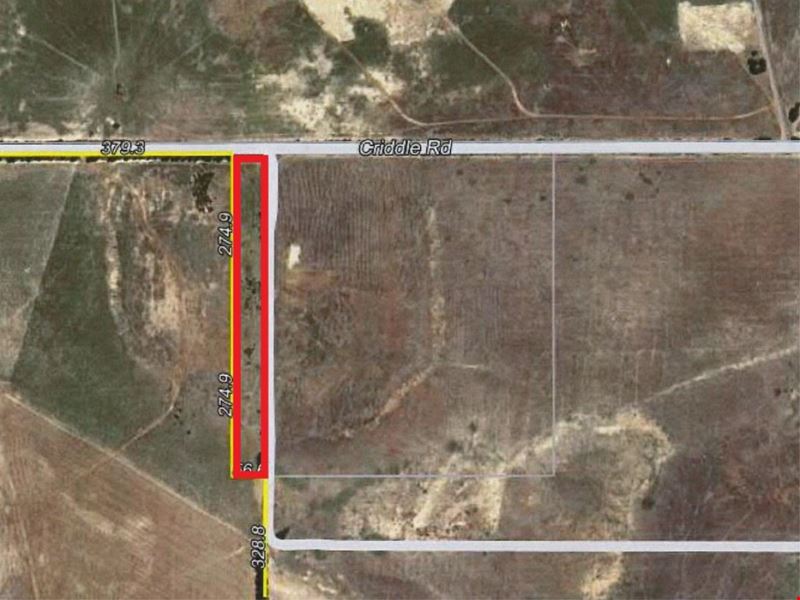 Lot 52 Criddle Road, Walkaway