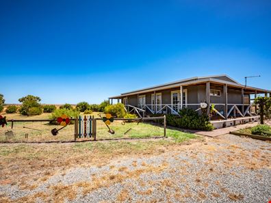 36 Meadow Lane, Walkaway WA 6528