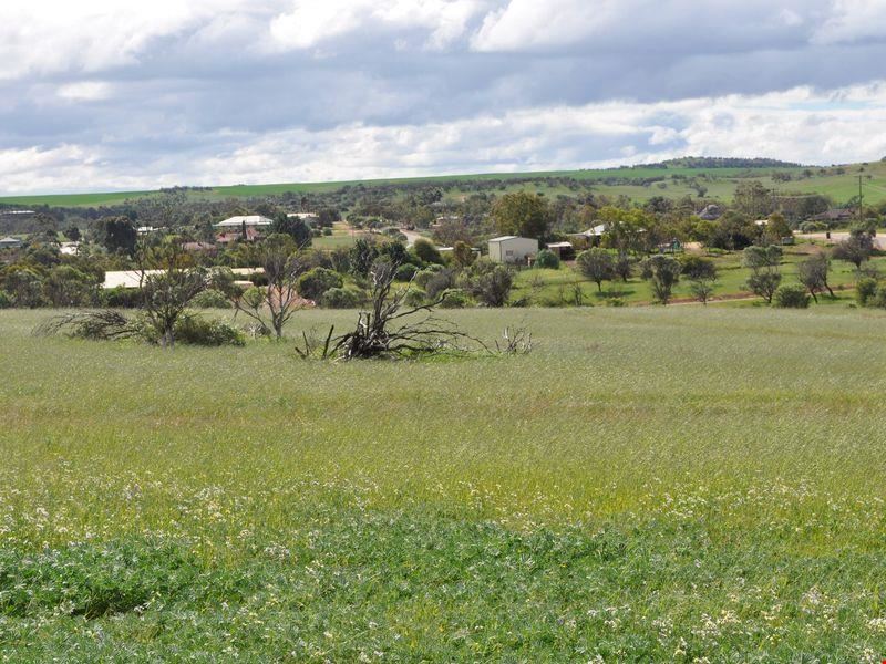 Lot 508 Seventh Avenue, Northampton WA 6535
