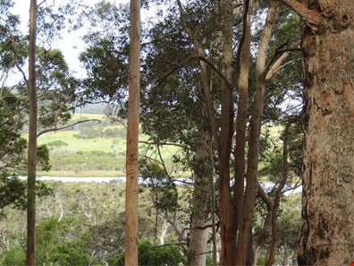 5 South Coast Highway, Nornalup WA 6333